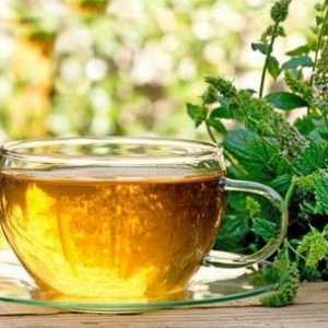 Výhody a poškozuje černého čaje s tymiánem
