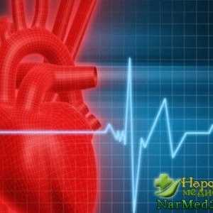 Pomáhat Lidové léky pro léčbu srdečního Artim