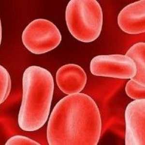 Zvýšená hladina hemoglobinu v krvi