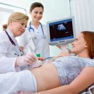Zvýšená testosteronu během těhotenství