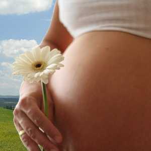 Suplementace vápníku pro těhotné