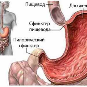 K určení příčiny a léčení kručení v žaludku po jídle