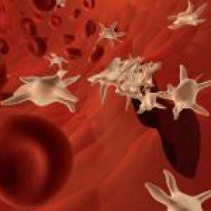 Důvody pro pokles krevních destiček v krvi a zvýšit jejich