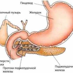 Prevence a léčba pankreatitu pseudotumor