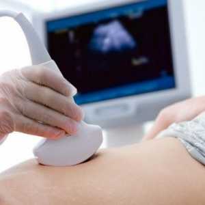 Přenášení a příprava pro ultrazvuk žaludku