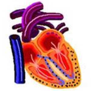 Restriktivní kardiomyopatie, a zejména jejich léčba