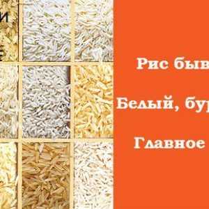 Rice - škod a výhody starověké obilovin. její varianty