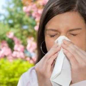 Senná rýma nebo alergie na květu