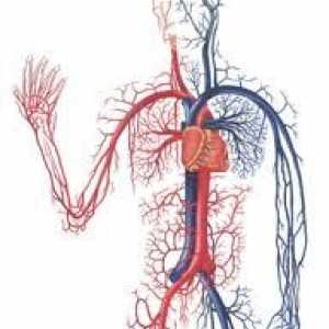 Kardiovaskulární onemocnění v tibetské medicíny