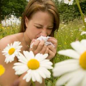 Sezónní alergie. Příčiny, příznaky a léčba
