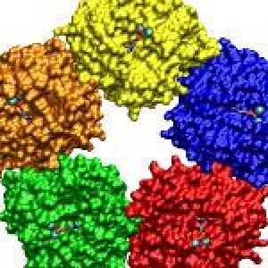 Co je c-reaktivního proteinu v krvi, a důvody pro jeho zvýšení