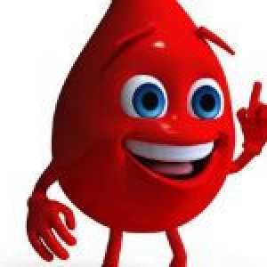 Kolik krve v lidském těle, a co to záleží?