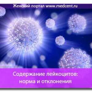 Obsah leukocytů: normou a odchylka