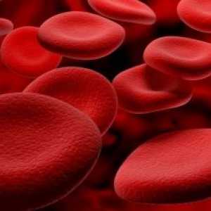 Průměrný obsah hemoglobinu v erytrocytů - norma a patologie
