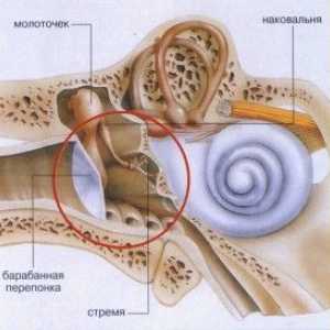Struktura a středního ucha nemoc