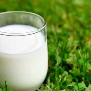 To, co potřebujete vědět o den absolutoria na mléko?