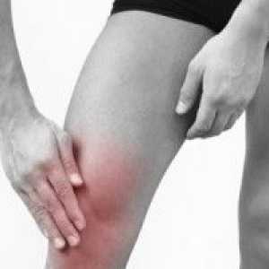 Zánět šlach na kolenního kloubu