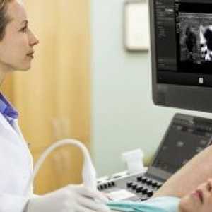 Prsu ultrazvukem - jak často můžete udělat a možné výsledky průzkumu