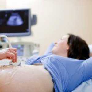 Příčiny stafylokok u kojenců, příznaky a riziko bakteriální infekce