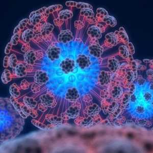 Lidský papilomavirus: léčba a prevence