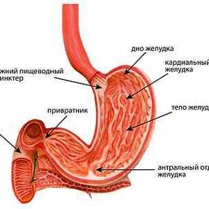 Symptomy a léčbu gastritidy smíšené