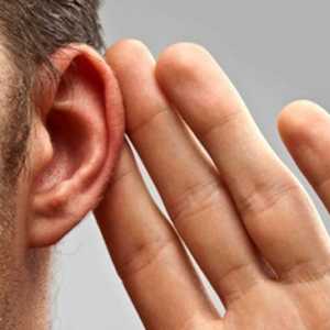 Výskyt a léčba neuritidy sluchového nervu
