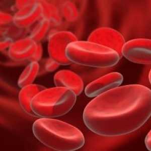 Účel a přepis analýza srážení krve
